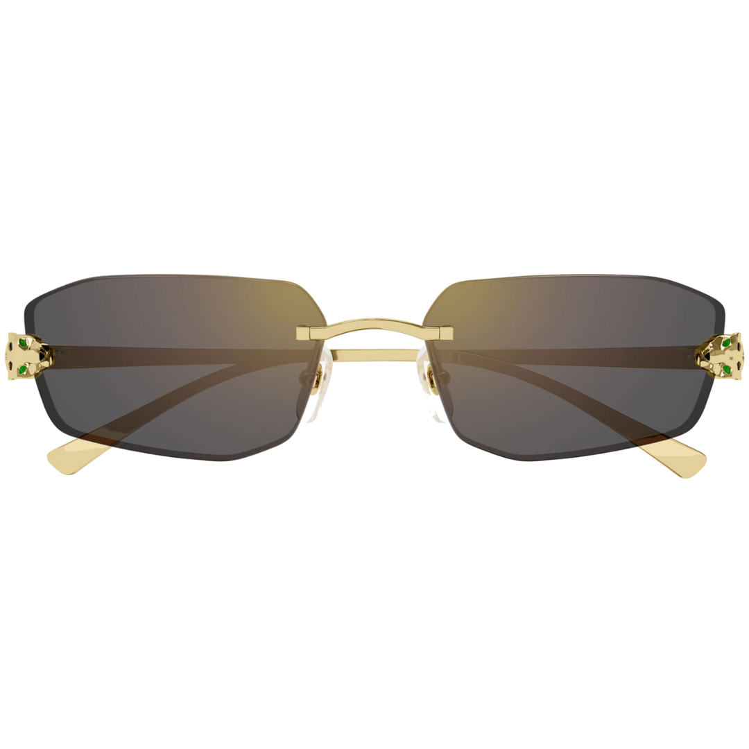 GAFAS CARTIER CT0474S
