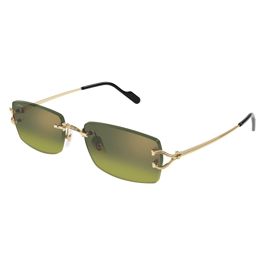 Gafas cartier ct0550s