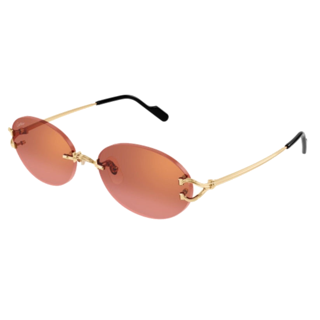 GAFAS CARTIER CT0551S