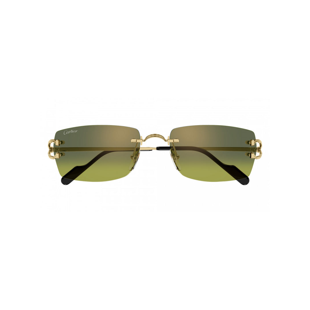 Gafas cartier ct0550s
