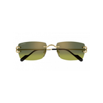 Gafas cartier ct0550s