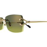 Gafas cartier ct0550s