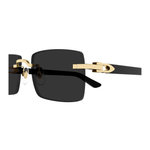 Gafas cartier ct0579s negro