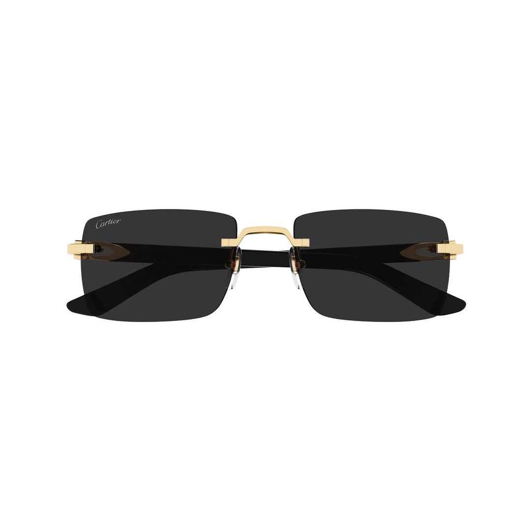 Gafas cartier ct0579s negro