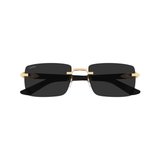 Gafas cartier ct0579s negro