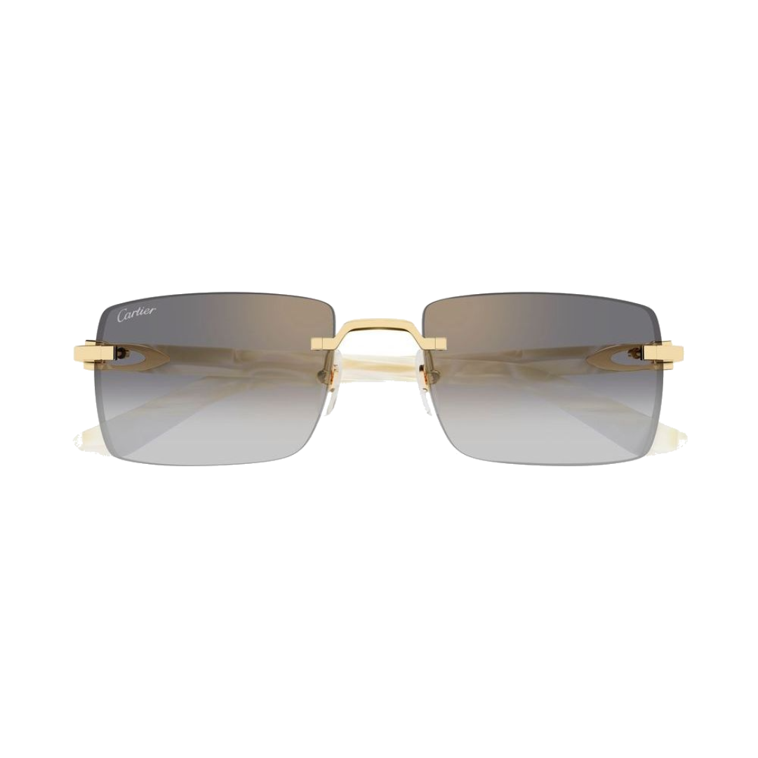 GAFAS CARTIER CT0579S GRIS